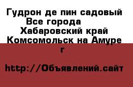 Гудрон де пин садовый - Все города  »    . Хабаровский край,Комсомольск-на-Амуре г.